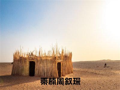 秦楠周叙琛(周叙琛秦楠)全文免费读无弹窗大结局_(周叙琛秦楠免费小说)秦楠周叙琛无弹窗最新章节列表