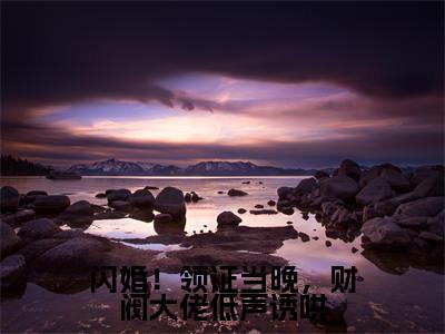 江晚陆辞年闪婚！领证当晚，财阀大佬低声诱哄免费阅读无弹窗小说江晚陆辞年最新章节