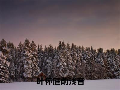 叶怀庭俞浅音全文免费阅读无弹窗大结局_俞浅音叶怀庭最新章节列表笔趣阁