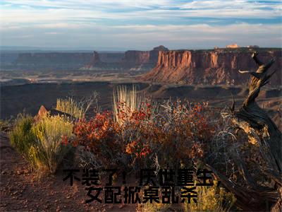 不装了!厌世重生,女配掀桌乱杀(云宴尘楚瓷歌)全文免费阅读无弹窗_(云宴尘楚瓷歌)小说全文免费阅读最新章节_笔趣阁