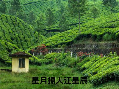 星月撩人江星辰全本资源（苏月江星辰）全文免费阅读无弹窗大结局_苏月江星辰最新章节列表（星月撩人江星辰）
