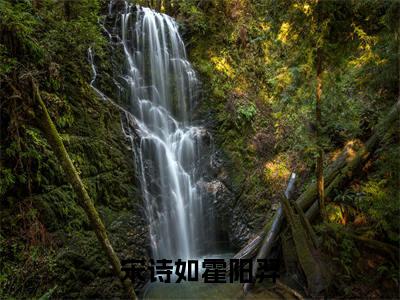 宋诗如霍阳羿小说（霍阳羿宋诗如）全文免费阅读无弹窗_（霍阳羿宋诗如）宋诗如霍阳羿最新章节列表