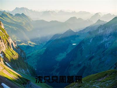 小说沈只只周篡琛（沈只只周篡琛）全文免费阅读-最火热门小说沈只只周篡琛最新章节更新