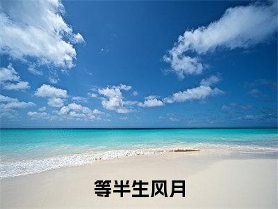 等半生风月（孟归年卢安夏）全文免费阅读无弹窗大结局_等半生风月免费阅读最新章节列表_笔趣阁（孟归年卢安夏）