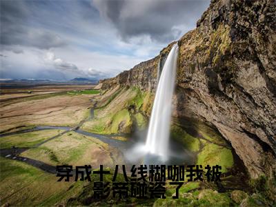 穿成十八线糊咖我被影帝碰瓷了（沈未寻关月梨）全文免费阅读无弹窗大结局_（沈未寻关月梨）沈未寻关月梨最新章节列表