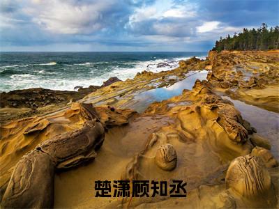 顾知丞楚潇高赞小说(楚潇顾知丞)完结阅读_楚潇顾知丞免费看全文