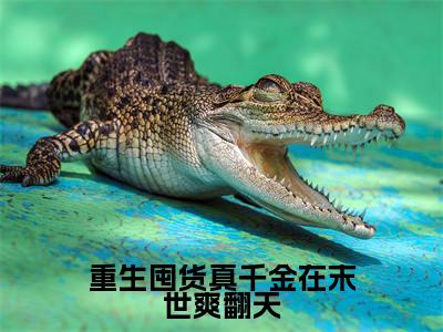 高赞小说重生囤货真千金在末世爽翻天(宋映宁)完结阅读_宋映宁重生囤货真千金在末世爽翻天免费看全文