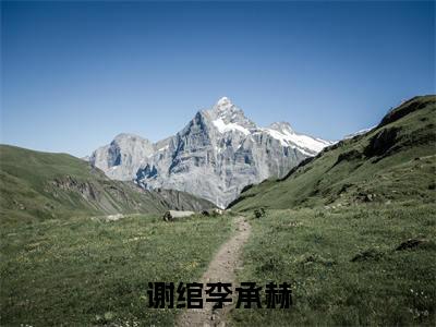 谢绾李承赫全网首发最新小说，主角谢绾李承赫全文在线免费阅读