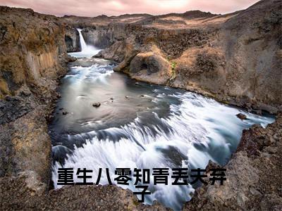 重生八零知青丢夫弃子（宋瑾年林如意）全文免费阅读无弹窗大结局_宋瑾年林如意小说最新章节列表