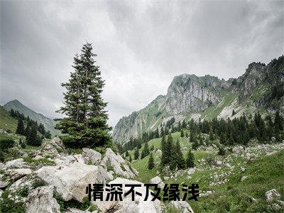 情深不及缘浅（顾潮生）小说全文免费_情深不及缘浅（顾潮生）最新章节目录笔趣阁
