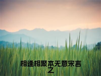 相逢相聚本无意宋言之免费小说-（相逢相聚本无意宋言之）宋言之完结版在线阅读