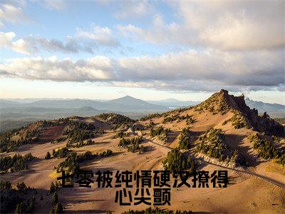 七零被纯情硬汉撩得心尖颤苏樱完整版全文在线赏析-苏樱全文在线阅读
