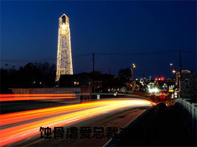 薄冷林言全文（蚀骨虐爱总裁求放过）全文免费阅读无弹窗大结局_薄冷林言免费最新章节列表_笔趣阁