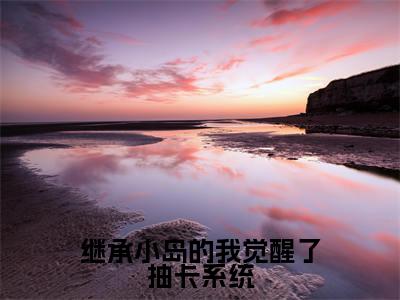 继承小岛的我觉醒了抽卡系统小说(林清许)全文免费阅读无弹窗大结局_继承小岛的我觉醒了抽卡系统最新章节在线阅读_笔趣阁
