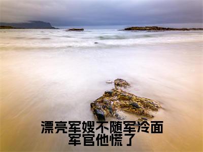 漂亮军嫂不随军冷面军官他慌了（许至远柳央）老书虫推荐小说热文-漂亮军嫂不随军冷面军官他慌了最新更新免费阅读