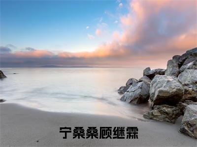 宁桑桑顾继霖（顾继霖宁桑桑）小说免费阅读无弹窗大结局_（顾继霖宁桑桑阅读无弹窗）最新章节列表