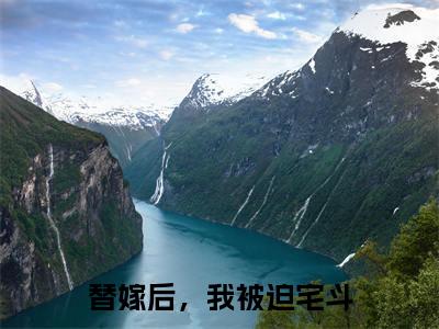 苏青小说在线阅读全文无弹窗大结局_替嫁后，我被迫宅斗小说免费最新章节列表