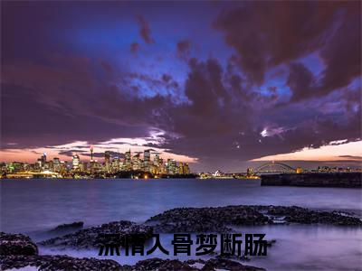 深情入骨梦断肠（贺芷鸢程许意）小说免费无弹窗大结局-深情入骨梦断肠小说全文完整版阅读