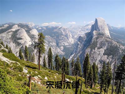 宋凝沈律(沈律宋凝)全章节完整版免费小说_宋凝沈律最新章节在线阅读_笔趣阁