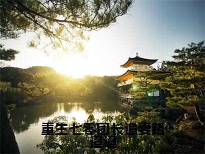 主角为宋知慧沈君桦的小说（重生七零团长追妻路迢迢）大结局免费阅读-重生七零团长追妻路迢迢全文免费阅读笔趣阁