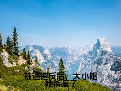 被逼造反后,大小姐她杀疯了(沈朝容)全文免费阅读无弹窗大结局_沈朝容免费最新章节列表_笔趣阁