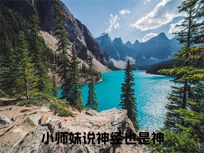 姜竹是什么小说-小说小师妹说神经也是神全文阅读