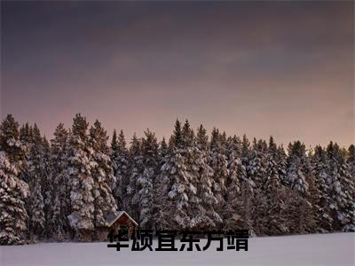 华颂宜东方靖是什么小说-小说华颂宜东方靖全文阅读