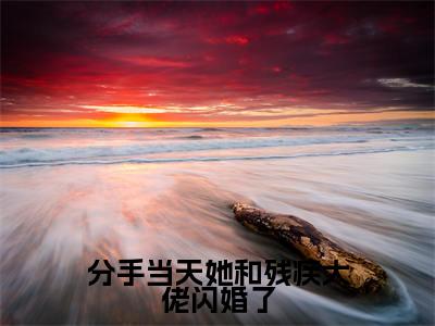 （热推新书）《分手当天她和残疾大佬闪婚了》全文免费阅读无弹窗大结局_谢清辉苏若晚无弹窗全文阅读