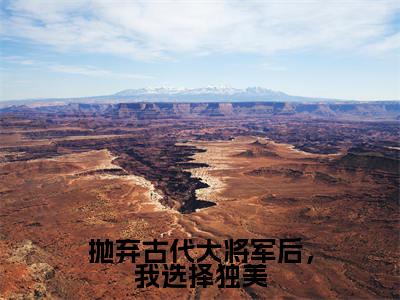 抛弃古代大将军后,我选择独美(林暖暖小说)全文免费阅读无弹窗大结局_抛弃古代大将军后,我选择独美小说林暖暖列表