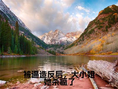 被逼造反后，大小姐她杀疯了沈朝容小说全文免费阅读无弹窗大结局_（沈朝容）最新章节列表笔趣阁