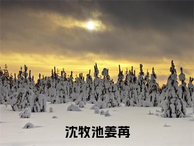 (免费)+(全文)沈牧池姜苒(沈牧池姜苒)免费阅读最新章节无弹窗沈牧池姜苒完整版小说在线阅读