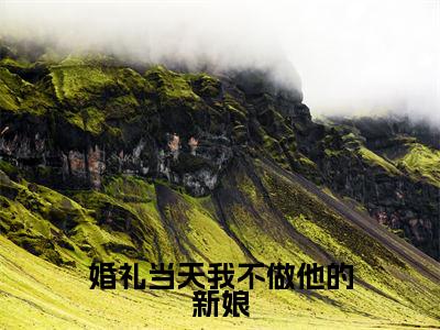 盛纤纤(婚礼当天我不做他的新娘)最火言情小说免费观看-小说婚礼当天我不做他的新娘(盛纤纤)今日已更新最新章节