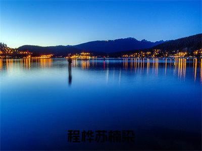 程桦苏楠染小说苏楠染程桦（已完结小说全集完整版大结局）程桦苏楠染小说全文阅读笔趣阁