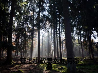 林汐妍厉亦寒（爱上小叔怎么办厉亦寒）在线阅读的小说完整版-爱上小叔怎么办厉亦寒（林汐妍厉亦寒）小说免费阅读