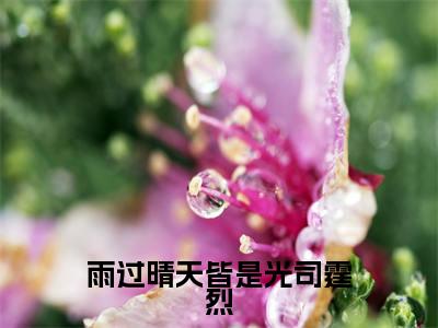 雨过晴天皆是光司霆烈全文免费阅读无弹窗大结局_(孟忻枝司霆烈免费阅读)雨过晴天皆是光司霆烈最新章节在线阅读_笔趣阁