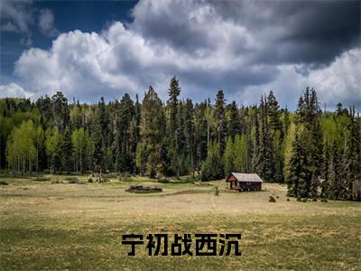 主角为宁初战西沉的小说精彩阅读-宁初战西沉最新章节阅读