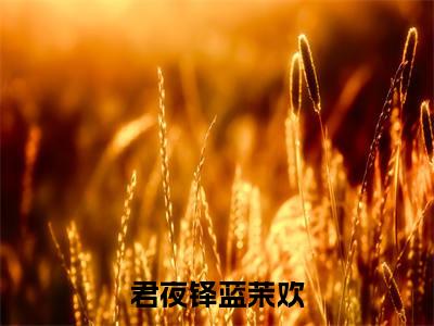 君夜铎蓝茉欢（蓝茉欢君夜铎）在哪免费看-君夜铎蓝茉欢小说（蓝茉欢君夜铎）全文完整版免费阅读