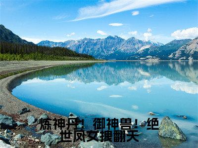 炼神丹！御神兽！绝世凤女拽翻天凤轻歌小说全文在线阅读无弹窗大结局_（凤轻歌全文在线阅读无弹窗）