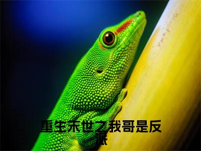 温念（重生末世之我哥是反派）全文免费阅读无弹窗大结局_重生末世之我哥是反派_笔趣阁