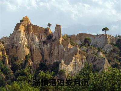 深情落海岁月沉免费阅读(悠然济源周)完整版全文全章节阅读(悠然济源周免费+番外)
