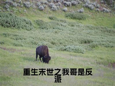 重生末世之我哥是反派阅读无弹窗大结局_温念穿越小说免费阅读_笔趣阁