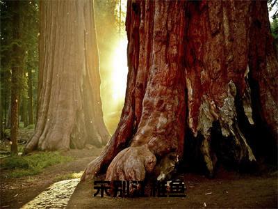 宋别江稚鱼（江稚鱼宋别）笔趣阁免费小说_宋别江稚鱼笔趣阁最新章节江稚鱼宋别免费在线阅读大结局