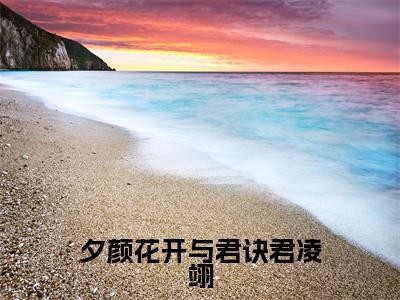 蓝羽裳君凌翊(夕颜花开与君诀君凌翊)全文免费阅读无弹窗大结局_(蓝羽裳君凌翊小说全文免费阅读)最新章节列表