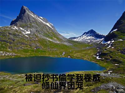 墨安亦大结局免费阅读被迫抄书偷学我卷成修仙界团宠最新热点小说