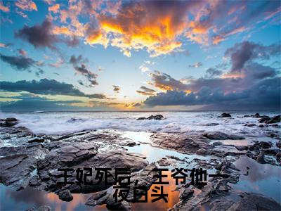 王妃死后,王爷他一夜白头(容云殇苏幼微)全文免费阅读无弹窗大结局_王妃死后,王爷他一夜白头在线阅读笔趣阁