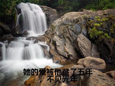 她的爱被他藏了五年，不见光年最新热门榜单小说-许枝沁萧暮辰全文无弹窗免费阅读大结局