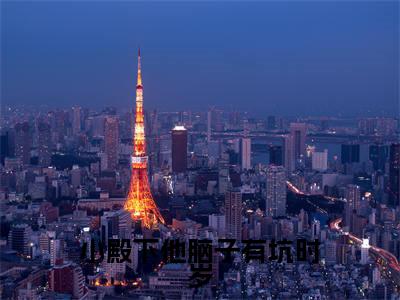 小殿下他脑子有坑时岁小说（时岁）全文免费阅读无弹窗_小殿下他脑子有坑时岁最新小说_笔趣阁（时岁）