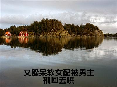 又躲呆软女配被男主抓回去哄全网首发最新小说-顾今梦谢砚临全文在线免费阅读