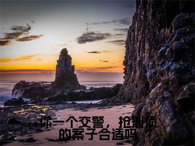 小说(你一个交警,抢刑侦的案子合适吗)_徐麟全文阅读_你一个交警,抢刑侦的案子合适吗免费阅读大结局