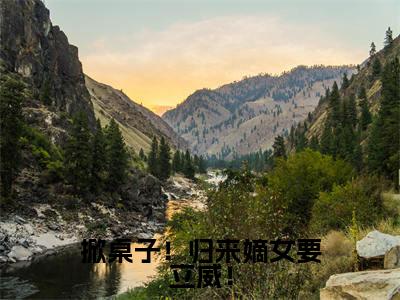 萧闻璟柳清月（掀桌子！归来嫡女要立威！）小说在线阅读_萧闻璟柳清月全本免费小说阅读大结局（掀桌子！归来嫡女要立威！）